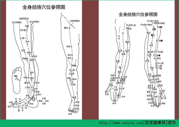 經(jīng)絡(luò)穴位怎么背？速記經(jīng)絡(luò)穴位方法(4)