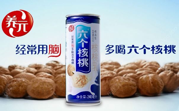 “六個核桃”飲料中大約只含有兩個核桃(1)