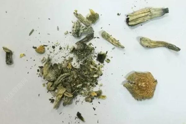 吃了蘑菇產(chǎn)生迷幻效果，樂隊成員帶它乘火車被抓了(1)