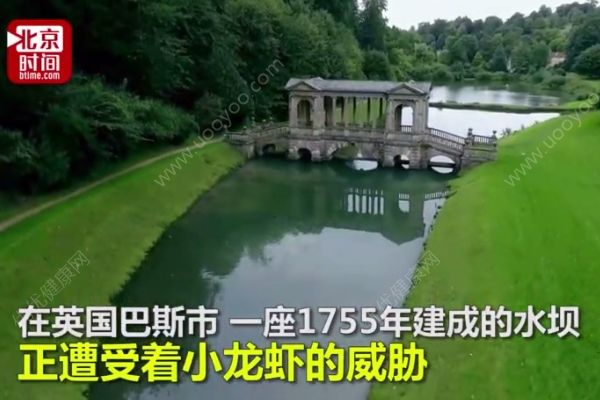 10萬小龍蝦圍攻英國水壩，政府斥巨資展開防御(2)