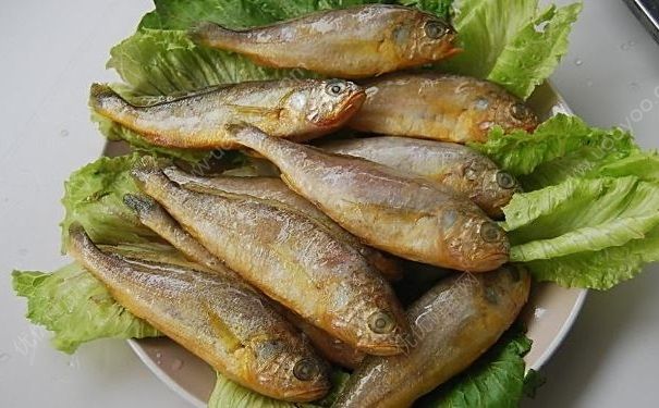 深圳小黃魚兩條4628元，吃小黃魚有什么好處？(2)