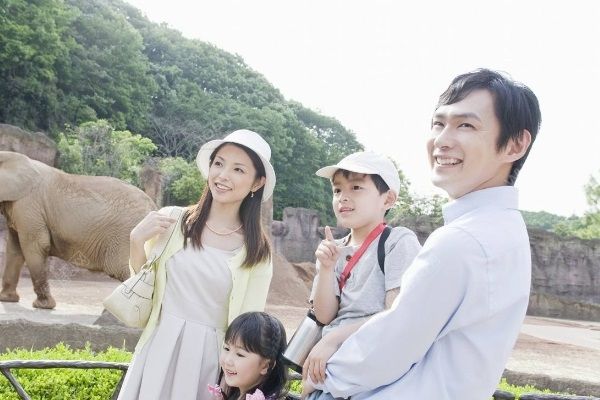 男孩動物園內被孔雀啄出血，帶孩子去動物園要注意什么？(3)