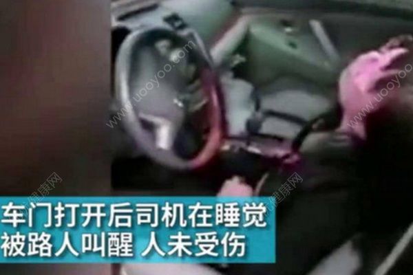 女司機開車睡著撞樹上，半天才將女司機叫醒(1)