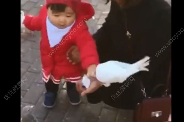 一歲女孩從鴿子嘴里搶食，直接搶鴿食往自己嘴里塞(1)