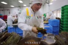 工人日包5000粽，10秒一個(gè)手速驚人[多圖]