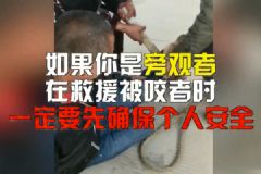 惡犬撲咬無路逃！下一步你該咋辦？[多圖]