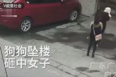 高空墜狗路過女子被砸傷，結(jié)果狗卻活著，如何防止高空拋物？[多圖]