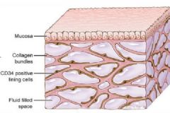 美科學家發(fā)現人體新器官，獲能解決癌癥快速轉移問題[多圖]