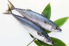 冬天多吃魚有何好處？冬天吃魚有何禁忌？[圖]