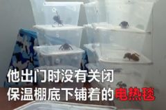 電熱毯燒死寵物 如何防止電熱毯短路？[多圖]