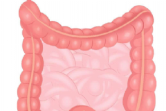 保護(hù)腸胃有哪些妙招？怎么保護(hù)腸胃最好？[圖]