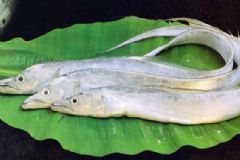 帶魚(yú)膽固醇含量高嗎？膽固醇高能吃帶魚(yú)嗎？[圖]