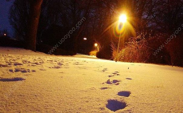 老太醉倒路邊雪地被凍僵，多虧有路人看見報了警(1)