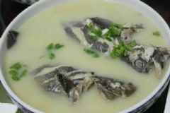 黑魚湯有哪些食用方法？術(shù)后黑魚湯的功效有哪些？[圖]