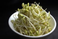 吃豆芽會(huì)胖嗎？豆芽會(huì)不會(huì)讓人長(zhǎng)胖？[多圖]