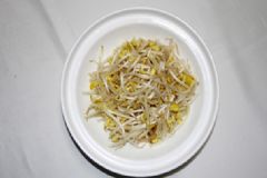 豆芽是酸性還是堿性？豆芽是堿性食物嗎？[多圖]