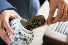 茶葉應該怎么保存好？茶葉有什么好處？[多圖]