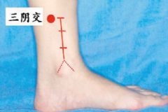 三陰交穴位在身體哪個部位？女性按摩三陰交有什么好處？[圖]