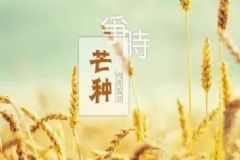 芒種時(shí)節(jié)怎樣軟件保健？芒種期間軟件要點(diǎn)[圖]