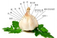 生吃大蔥有什么好處？生吃大蔥的好處[圖]