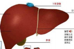肝功能異常怎么調理？肝功能異常能治好嗎？[圖]