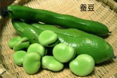 豌豆和蠶豆一樣嗎？蠶豆和豌豆的區(qū)別[多圖]