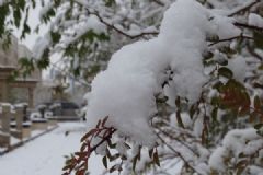 大雪節(jié)氣 記得防寒保暖和軟件[多圖]