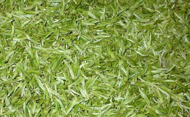 茶葉應(yīng)該怎么保存好？茶葉有什么好處？(1)