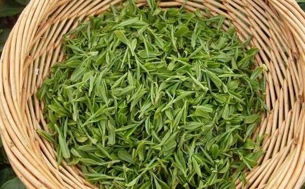 茶葉應(yīng)該怎么保存好？茶葉有什么好處？(4)