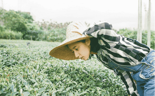 瑜伽減肥操減肥效果好嗎？瑜伽減肥操怎么做？(1)