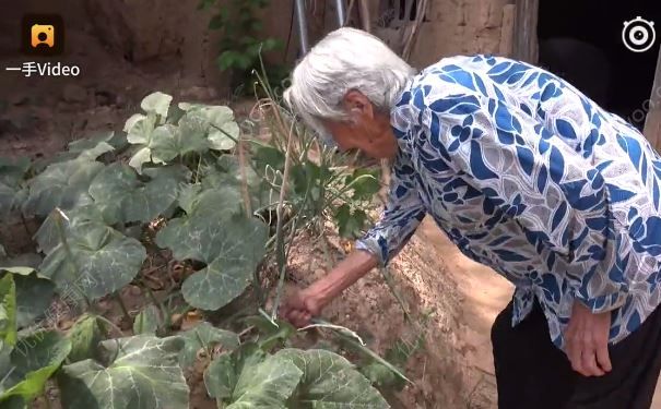 106歲老太愛搓麻將喝酒，老人怎樣才能計劃長壽？(4)