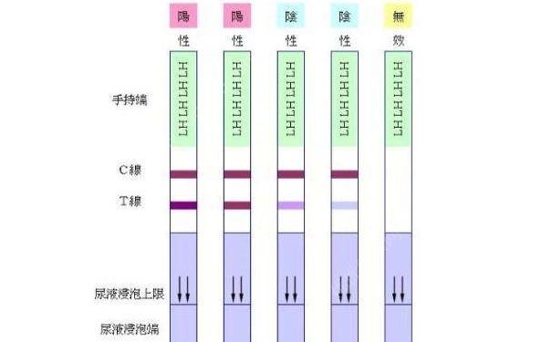 如何用排卵試紙測(cè)排卵？用排卵試紙測(cè)排卵的方法(1)