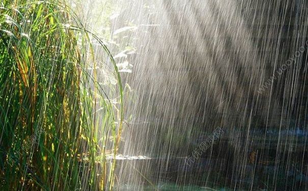 打雷下雨可以洗澡嗎？打雷下雨洗澡有危險(xiǎn)嗎？(4)