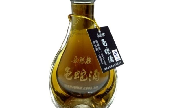 龜蛇酒怎么樣？龜蛇酒多少錢(qián)一瓶？(1)