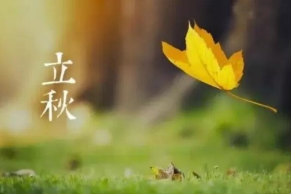 立秋后就喝這3湯，去濕氣補(bǔ)血?dú)?，一覺睡到大天亮！