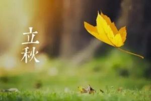 立秋后就喝這3湯，去濕氣補(bǔ)血?dú)?，一覺睡到大天亮！