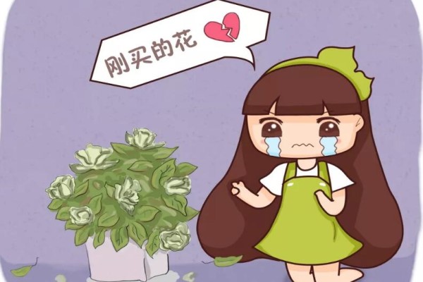 入秋別買這5種花，回家3天花苞全掉，再便宜都虧!