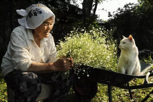 奶奶采來(lái)了一把滿天星， 她開(kāi)心的像個(gè)少女。 在夕陽(yáng)下，我們靜靜對(duì)坐， 就像心意相通的老友。