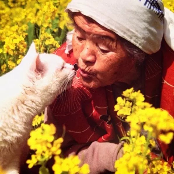 一起去看看， 今年油菜花開(kāi)的怎么樣。