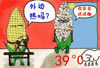 近40℃高溫，花再不管，就只剩盆了！