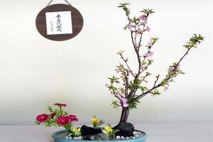 東方式插花的風(fēng)格特點(diǎn)