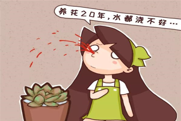 養(yǎng)花20年，水都澆不好，怪不得養(yǎng)一盆死一盆！