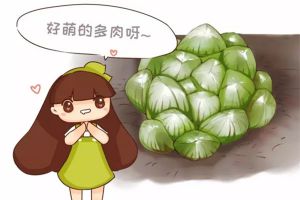 5月不養(yǎng)多肉？后悔去吧