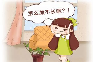 綠蘿君子蘭…長太慢？學(xué)2招，蹭蹭爬上墻，葉子綠得冒油！