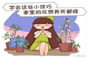 學(xué)會這20個小技巧，家里的花想養(yǎng)死都難！