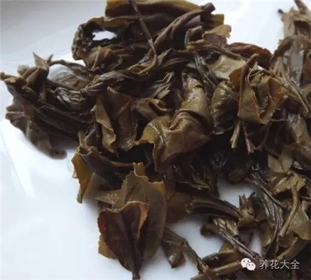 殘茶葉