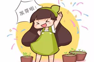 學(xué)會這種方法，啥花都能種活