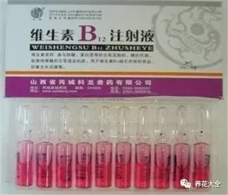 維生素B12