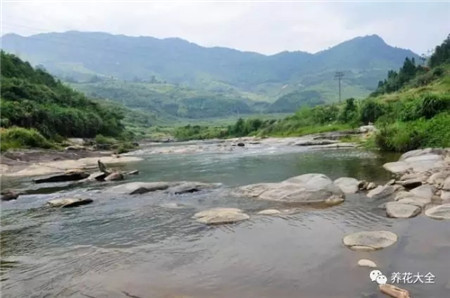 河水、湖水