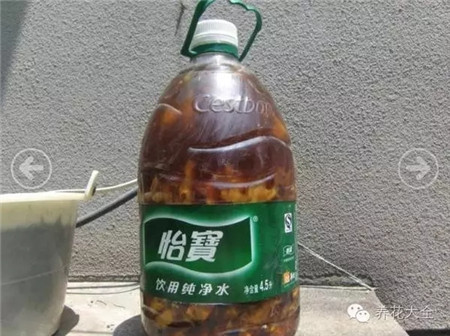 發(fā)酵3個(gè)月